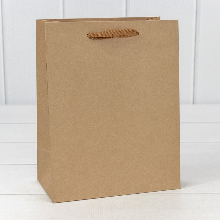 000221E Пакет подарочный Крафт "Люкс" 18*23*10 210г 1/20 1/360 000221E Пакет подарочный Крафт "Люкс" 18*23*10 210г 1/20 1/360